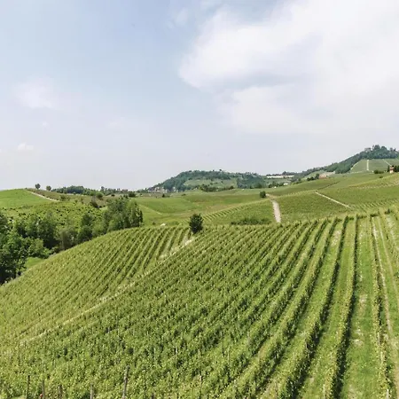 Barbera Monforte dʼAlba